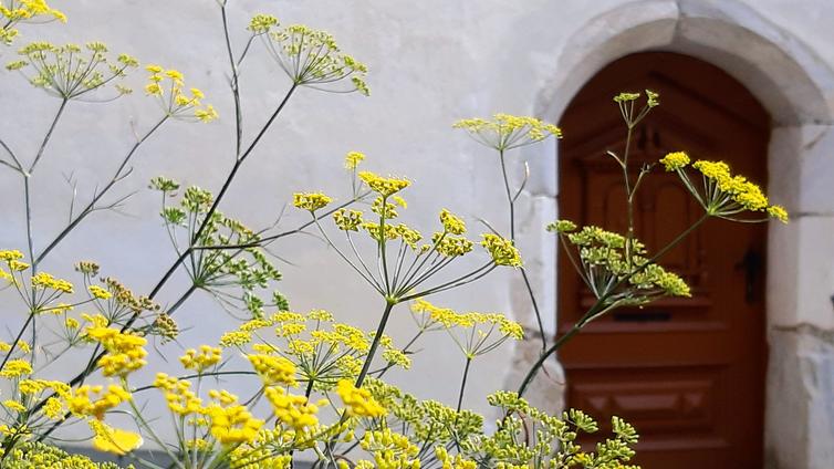 © Naturpark Sölktäler Sölker Jesuitengarten