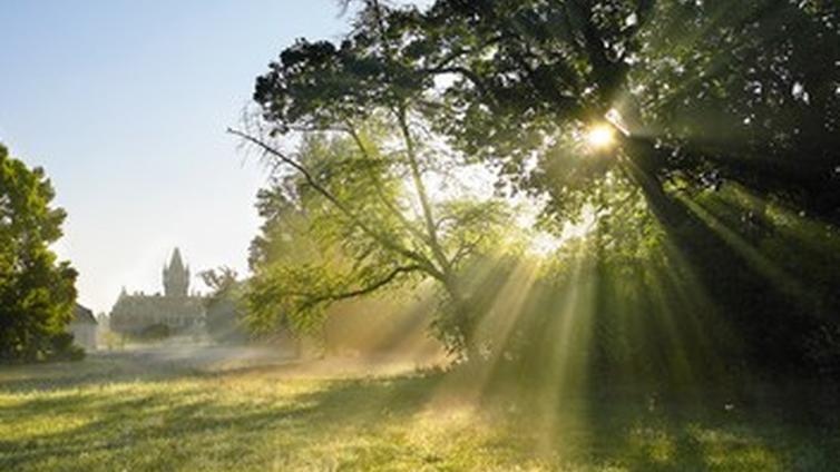 Gärten klimafit machen