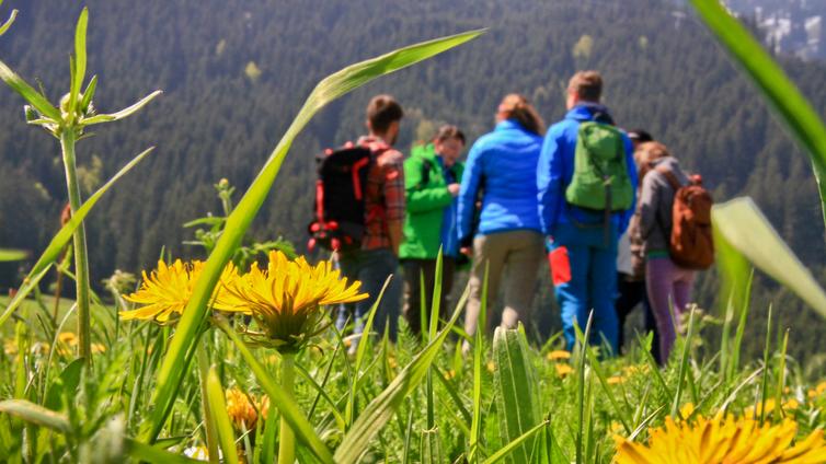 Exkursiongruppe auf der blühenden Alm