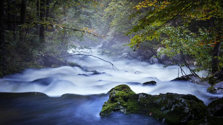 Österreich - Die Kraft des Wassers (Naturkino) © Naturpark Tiroler Lech Stimmungsvoller Flusslauf