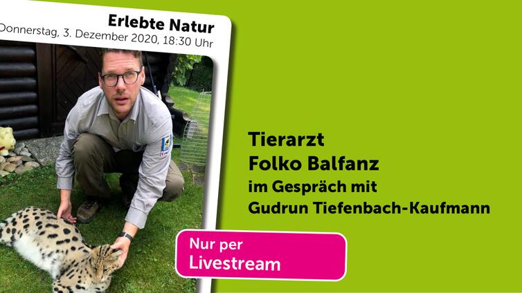 Online Veranstaltung: Erlebte Natur: Zootierarzt im Einsatz