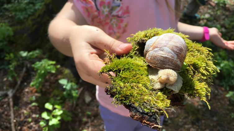 no-reuse-Waldtour © Naturpark Purkersdorf Waldmotiv