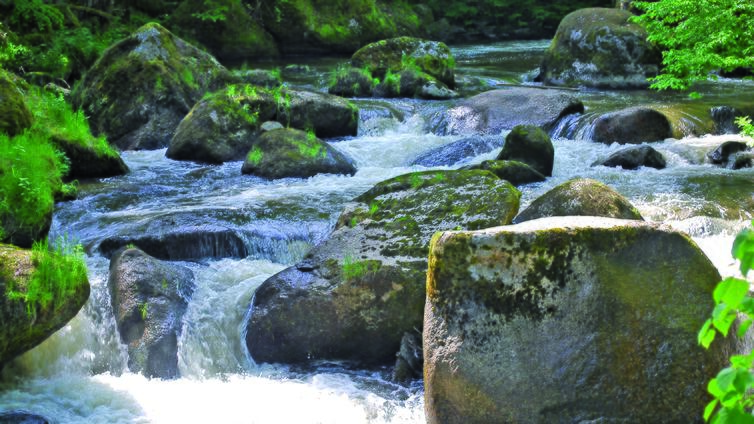 Vom Lebensquell ins Naarntal, Naturpark Mühlviertel