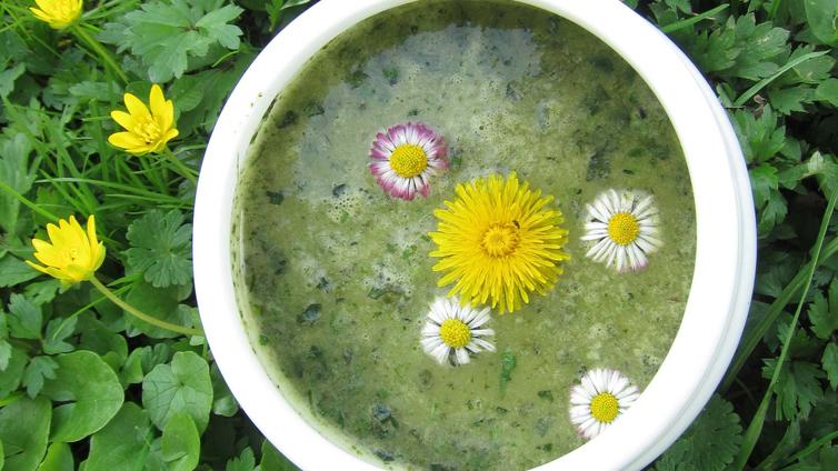 Suppe aus Wildkräutern