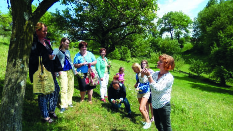 Kräuterwanderung mit Brigitte Gaisböck