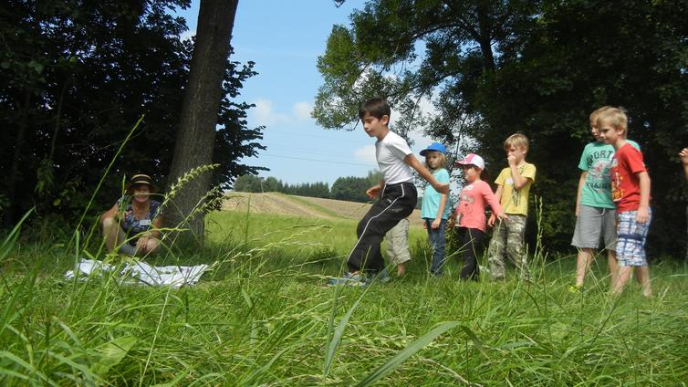 Die Naturpark-Detektive auf der Suche nach dem Streuobstwiesen-Kochbuch von Günter Grünspecht.