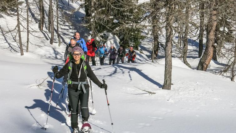 Eine Gruppe von acht Personen wandert auf Schneeschuhen durch den Lärchen-Zirbenurwald.