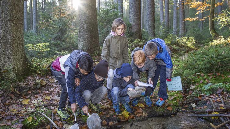 Eine Gruppe von Kindern erforscht den Waldboden.