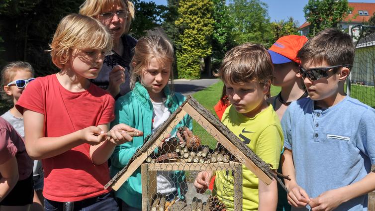 Kinder bauen an einem Insektenhotel.