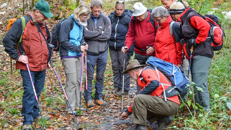 Der Ranger zeigt einer Gruppe von Besuchern die Spuren am Boden.