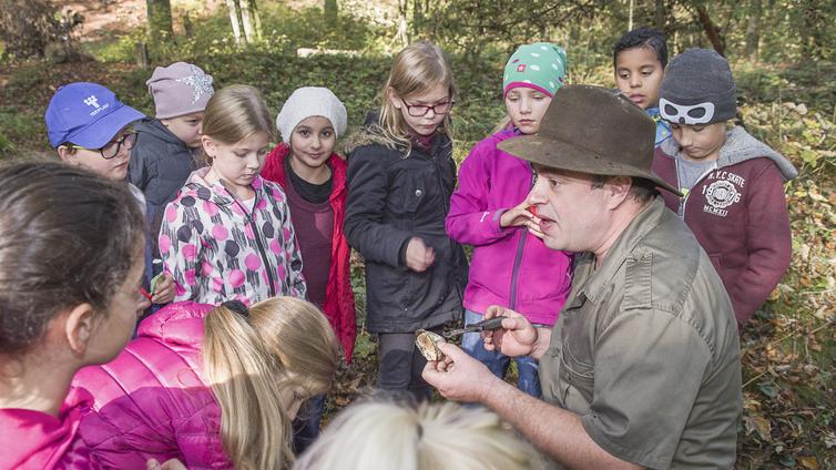Der Naturvermittler erklärt den Kindern einer Schulklasse, was er im Wald gefunden hat.