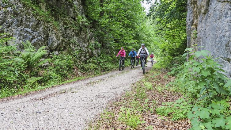 Nature E-Biking © NATURSCHAUSPIEL, Nationalpark Kalkalpen Eine Gruppe Radfahrer auf dem Weg durch den Nationalpark Kalkalpen.