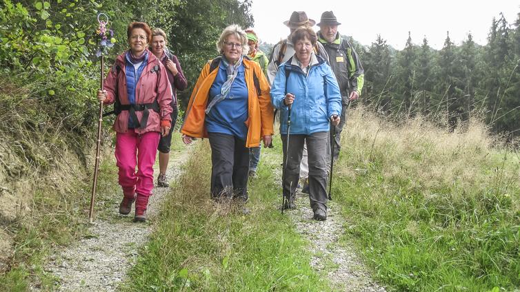 Pilgern auf Moorpfaden © NATURSCHAUSPIEL, Maria Wimmer Eine Gruppe von sieben Personen auf ihrer Pilgertour durch das Ibmer Moor.