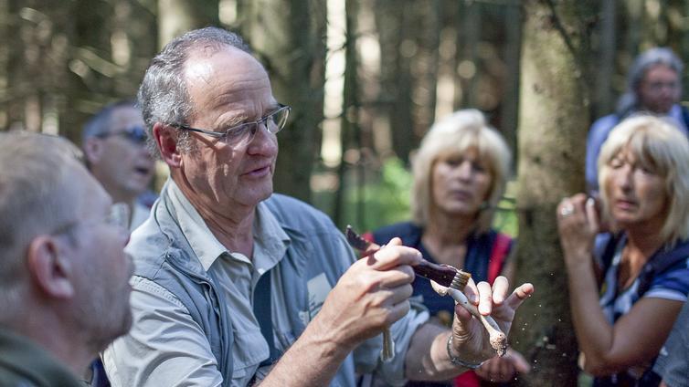 Pilze - vielfältige Edelsteine des Waldes © NATURSCHAUSPIEL, Thomas Reibnegger Der Naturvermittler zeigt den Teilnehmern die Besonderheiten eines Pilzes.
