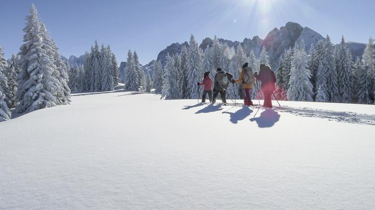 Vier Personen wandern auf ihren Schneeschuhen durch die tief verschneite Winterlandschaft, im Hintergrund der Gosaukamm.