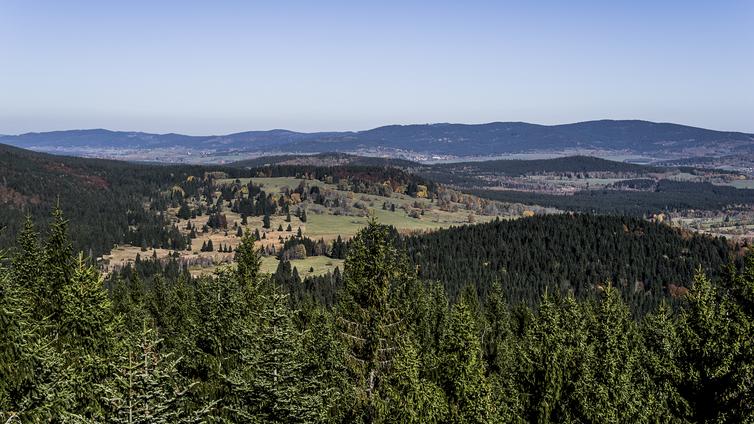 Blick über die Wälder und Wiesen des Böhmerwaldes.