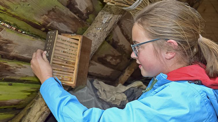 Unterwegs zur flotten Biene © NATURSCHAUSPIEL, Barbara Derntl Ein Mädchen betrachtet einen Nistkasten für Wildbienen.