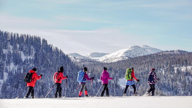 Eine Gruppe von sechs Personen wandert auf Schneeschuhen über eine verschneite Hochebene. Dahinter Wald und Berge.