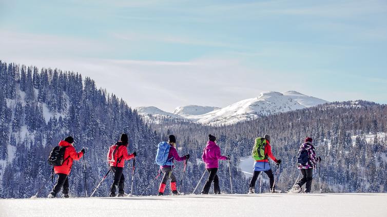 Bergparadies Warscheneck - Die Wurzeralm im Winter © NATURSCHAUSPIEL, Alois Litzlbauer Eine Gruppe von sechs Personen wandert auf Schneeschuhen über eine verschneite Hochebene. Dahinter Wald und Berge.