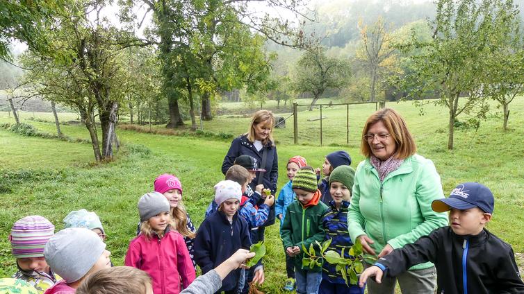 Expedition Streuobstwiese - Frühsommer © NATURSCHAUSPIEL, Naturpark Obst-Hügelland Die Schüler einer Klasse betrachten Zweige, die ihnen von der Naturvermittlerin gezeigt werden.