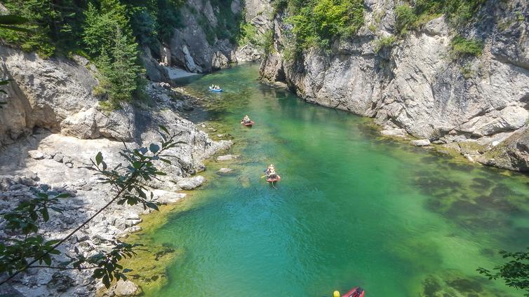 Mehrere Personen paddeln auf ihren Booten durch die glasklare, grüne Steyr-Schlucht.