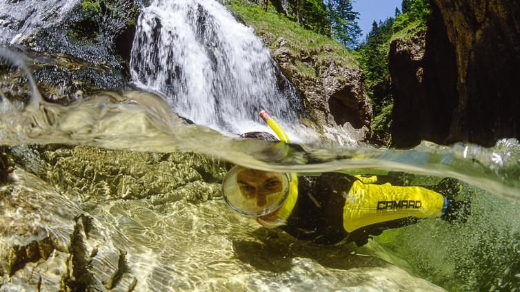 Flussexpedition in die Unterwasserwelt © NATURSCHAUSPIEL, Thomas Aichinger Ein junger Mann schnorchelt im gelb-schwarzen Neoprenanzug im glasklaren Wasser der Steyr.