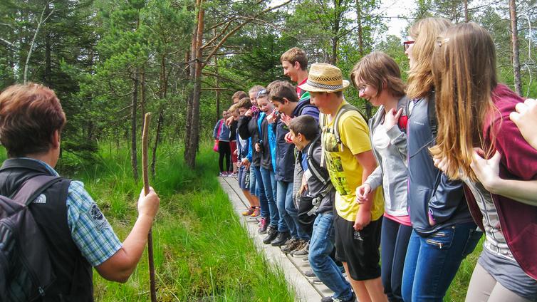 Jugendliche einer Schulklasse hüpfen auf einem Holzplankenweg im Moor und bringen dabei mit Freude den Boden in Bewegung.