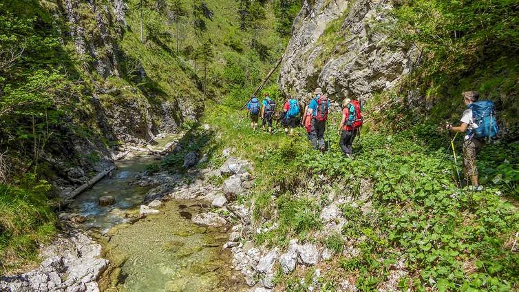 Eine Gruppe von Wanderern durchquert die Schlucht am Großen Bach im Hintergebirge.