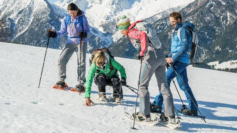 Vier Personen mit Schneeschuhen in eindrucksvoller Winterlandschaft.