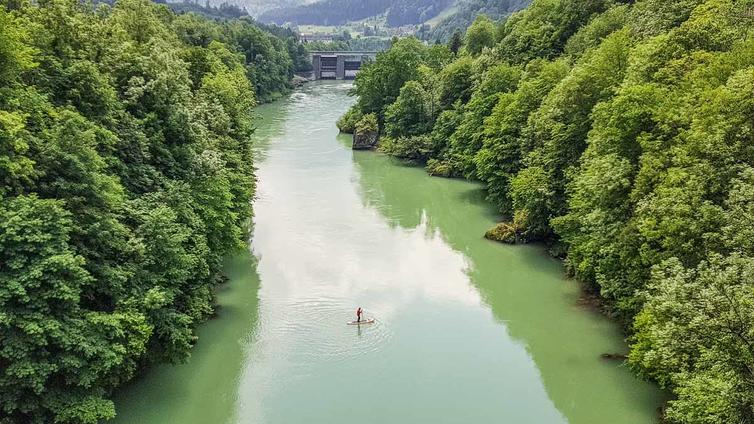 Flussexpedition auf der Enns © NATURSCHAUSPIEL, Lukas Althuber Blick von oben auf die Enns bei Ternberg.