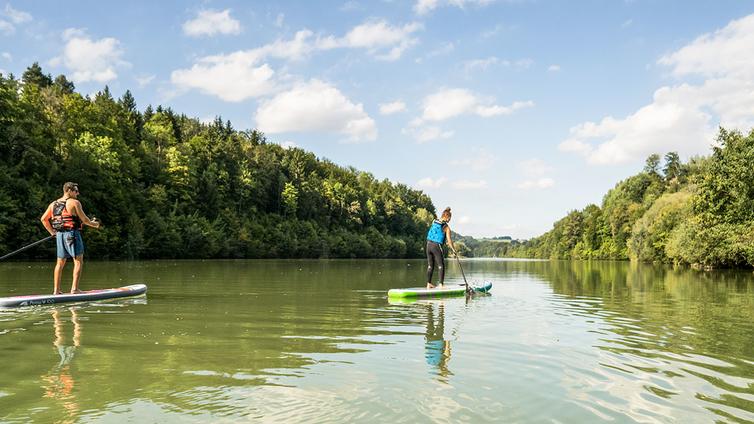 Zwei Personen paddeln auf ihren Boards die Enns entlang.