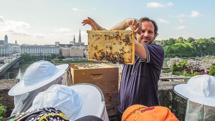 Der Imker zeigt den Kindern eine volle Honigwabe, die in einem Bienenstock am Linzer Rathaus erzeugt wurde.