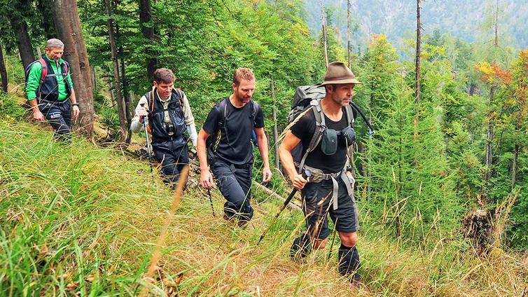 Welterbe Tour Nationalpark Kalkalpen © NATURSCHAUSPIEL, Nationalpark Kalkalpen - Franz Sieghartsleitner Eine Gruppe von vier Männern geht oberhalb eines Hanges durch den Buchenwald.