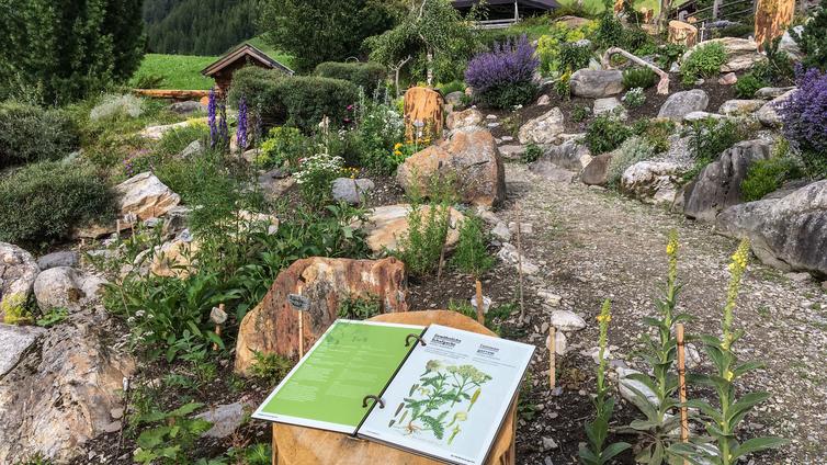 Alpenblumengarten in Schmirn © TVB Wipptal Alpenblumengarten in Schmirn