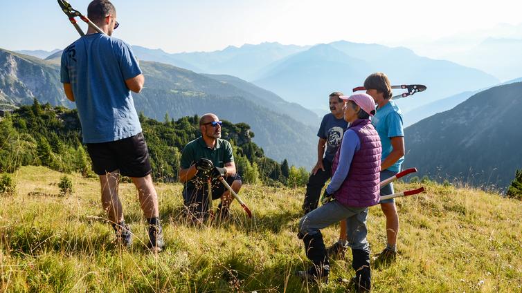 Einführung zum Schwenden auf den Bergmähdern © Kathrin Herzer Schwenden in den Bergmähdern
