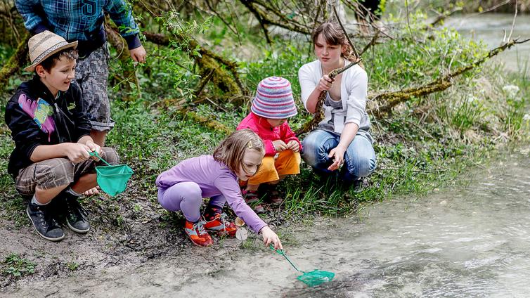 Wassertiere unter der Lupe © NATURSCHAUSPIEL, Thomas Reibnegger Vier Kinder hocken am Ufer und fischen Wassertiere mit einem Kescher aus dem Wasser.