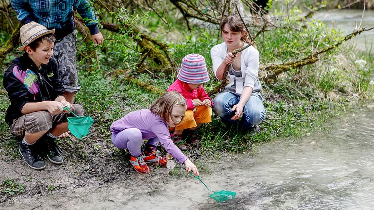 Vier Kinder hocken am Ufer und fischen Wassertiere mit einem Kescher aus dem Wasser.