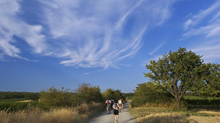 Gipfelerlebnis Leithagebirge © ARGE Naturparke Gipfelerlebnis Leithagebirge