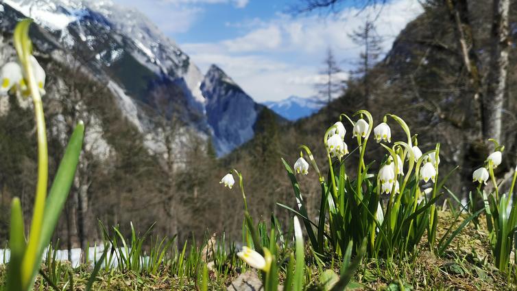 Issanger Halltal © TVB Hall-Wattens Issanger Halltal