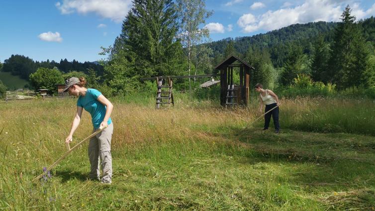 Zwei Personen mähen in einer Naturlandschaft mit der Sense