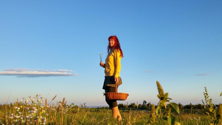 Kräuterwanderungen © Karin Hartmann Kräuterwanderungen