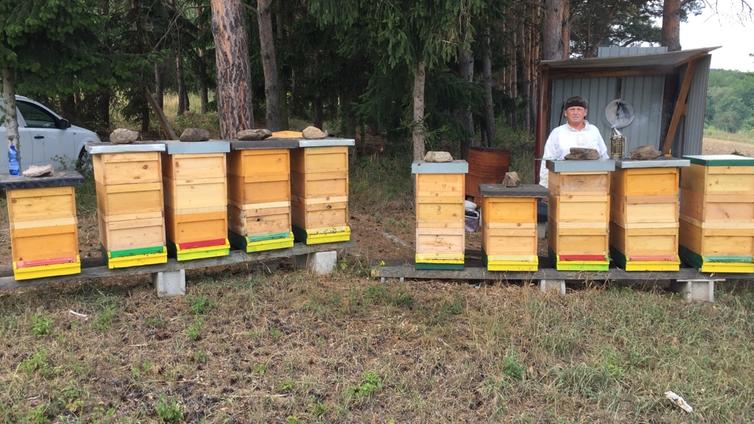Bienen- und Honigerlebnisführung
