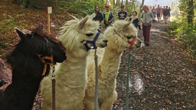 © Naturpark Landseer Berge Kindergeburtstag am Keltenfestgelände