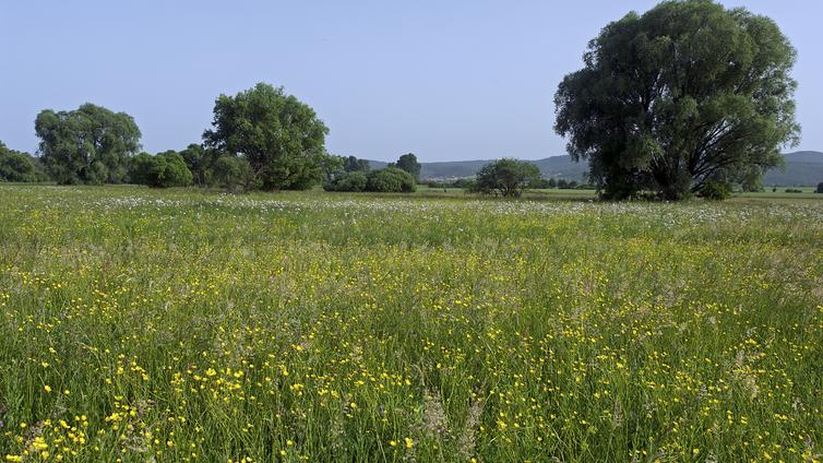 Meditatives Schreiben in der Natur