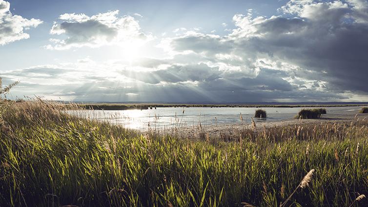 © NoreuseAchtsam durch den Seewinkel_Stefan Leitner Achtsam...
