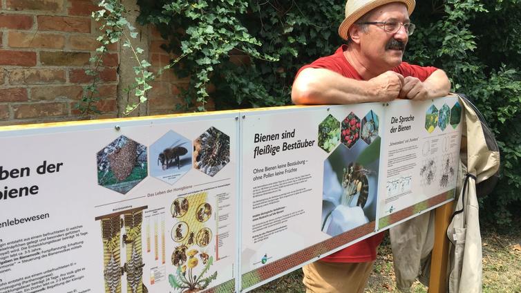 © Foto: Herbert Grafl So fleißig wie die Honigbiene