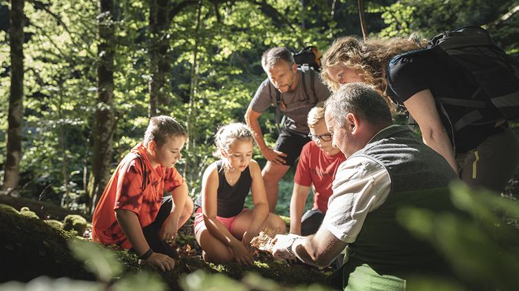 Mit dem Nationalpark Ranger die Waldwildnis im Nationalpark Kalkalpen entdecken