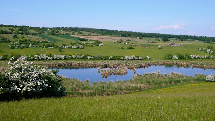 © Foto: Gemeinde Rohrbach Eine Wanderung durch zwei Naturschutzgebiete