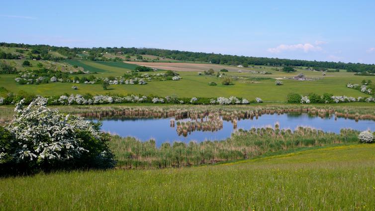 Eine Wanderung durch zwei Naturschutzgebiete