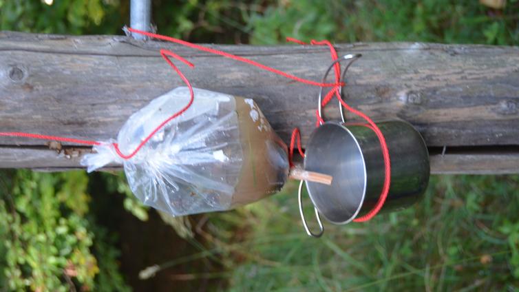 © Naturschule Rabe Survival-Spezial: Wasser